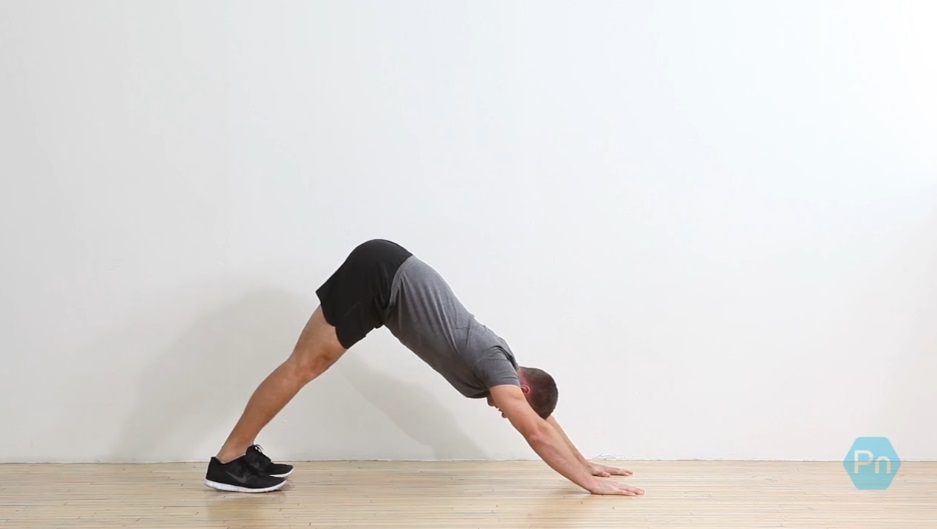 Find Your Zen with Downward Dog Stretch